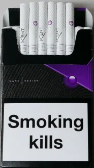 KENT NANO capsule (Кент слим со вкусом черники) (duty free) 0