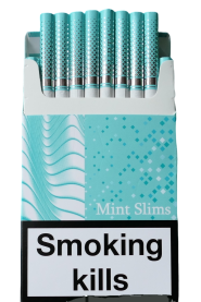 URTA mint slims wide (Юрта ментолові широкі слімові) 0